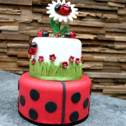 Clearance Cerf Dellier Pâte à sucre rouge étalée - DDM 06/24