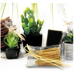 Best Cerf Dellier Sachets plats polypropylène - 100 x 200 mm (x100)