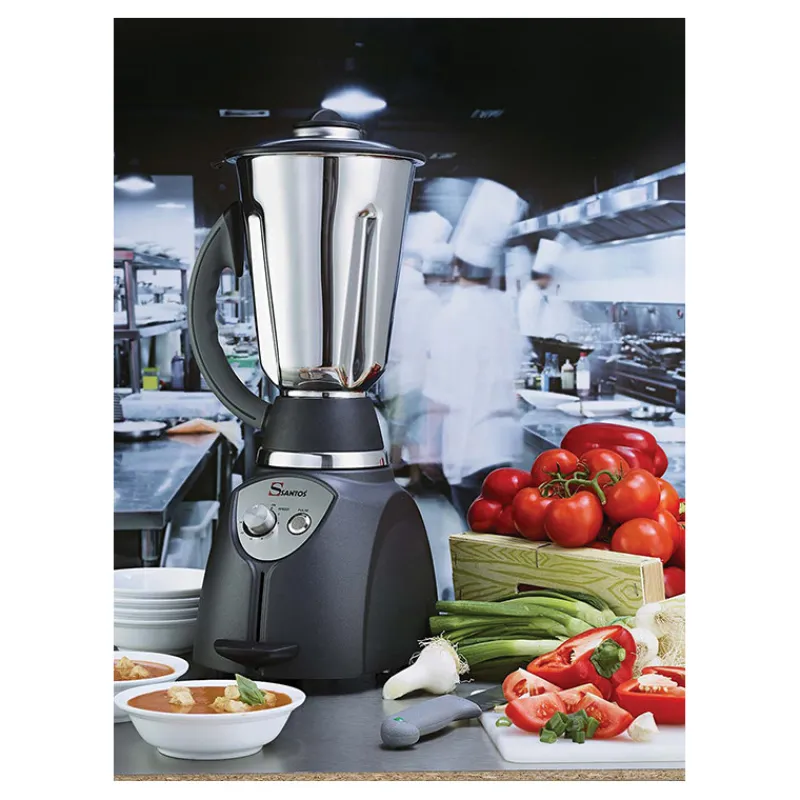 Outlet Cerf Dellier Santos blender n°37 base moteur seule