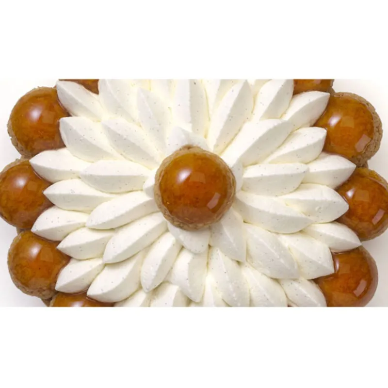 Discount Cerf Dellier Sucre vanillé bio Prova 1 kg - DDM 03/24