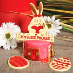 Best Cerf Dellier Transfert chocolat lapin de Pâques
