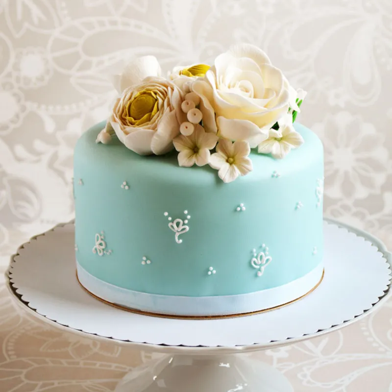 New Cerf Dellier Tylose 40 g